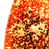 Red Cloud Flammulina - Image 3