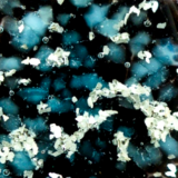 Galaxie Oválek - Image 2