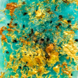 Solstice Flammulina - Image 3