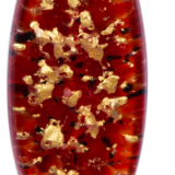 Coral - Image 3